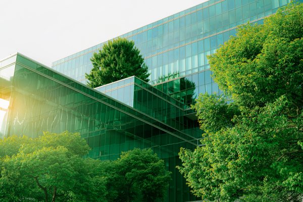 The Path to Energy Efficiency and Carbon Reduction Innovation
